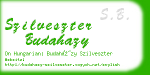 szilveszter budahazy business card